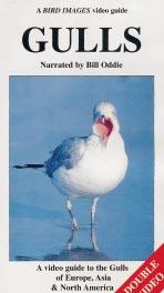 14 euro * Gulls a guide to identifcation; Grant P.J., 1986, T & AD Poyser Bestelcode: VOGEUR0127: 46.10 euro, ledenprijs: 41.