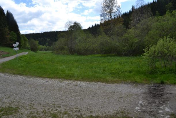 Het riviertje ontspringt in het militair oefenterrein Elsenborn en wordt daar Schwalm genoemd en vloeit nabij Monschau in de Rur uit.