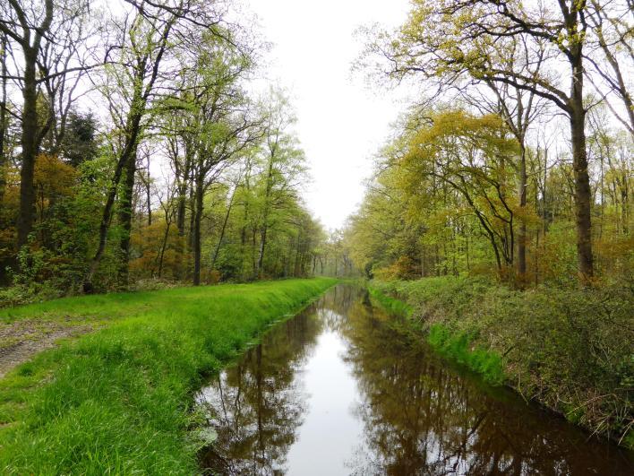 12 Koloniewijk en natuurbeheer Koloniewijk De naam herinnert aan de kolonie 'Ommerschans' van de Maatschappij van Weldadigheid.