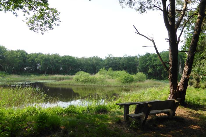 Het oude cultuurbos is in beheer van Landschap Overijssel. http://www.landschapoverijssel.