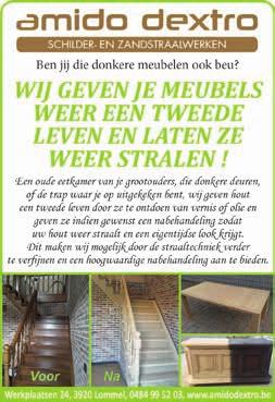 2-8 pers., 3 terras, 2 slaapks., last minute met grote korting. Van particulier: 011/25 29 30. TE HUUR : Zeer ruim duplex-appt. met 2 (à 3) slpk. en balkon op zuid, gelegen in hartje Kerkstr.