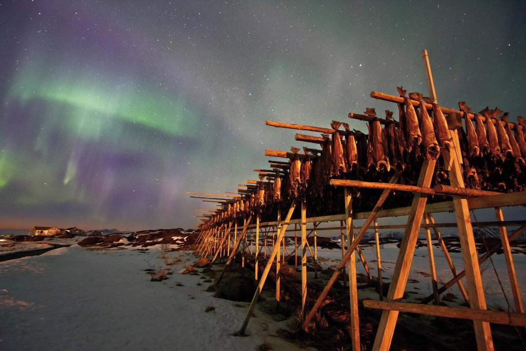 Skrei Toonbeeld van duurzame visserij In de Barentszzee zwemt meer Noordoost-Arctische kabeljauw rond dan sinds de laatste wereldoorlog.