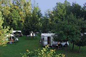 De gunstige klimatologische omstandigheden en het grasoppervlak van de camping maken het mogelijk om uw vakantie door te brengen in een rustig hoekje van ongerepte natuur.