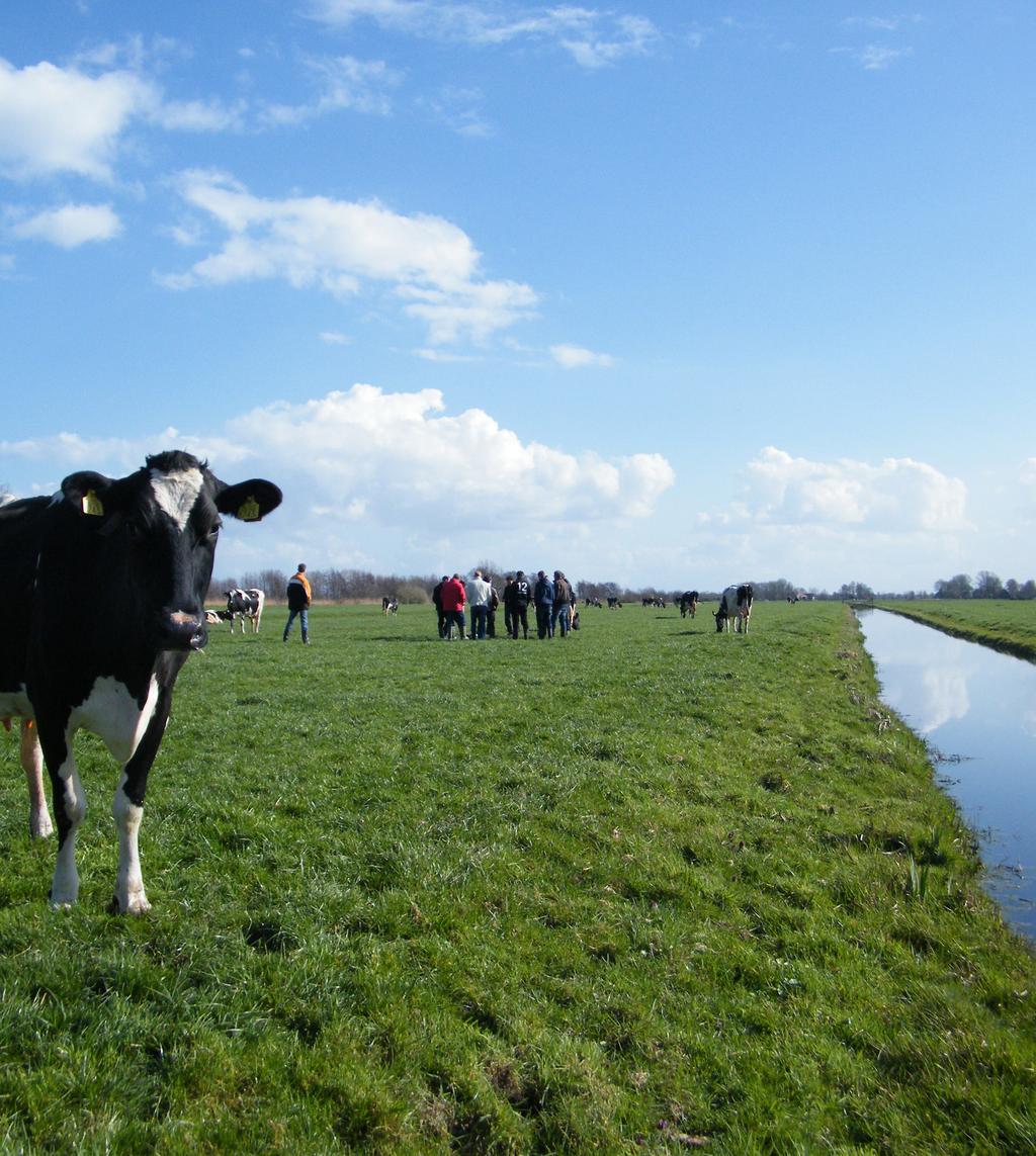 STICHTING WEIDEGANG JAARRAPPORTAGE 2016 NIEUWE GRACHT 3 2011