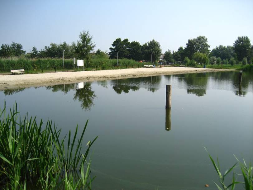 BIJLAGE 1 Verslag veldbezoeken Veldbezoek 2006 Op dinsdag 25 juli 2006 is het veldbezoek uitgevoerd door Edwin Kardinaal (DHV) en Melanie Kuiper (Grontmij).