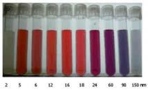 LioniX chip in lang microkanaal Detectie van zwakke kleuren Chemische analyse Analyse