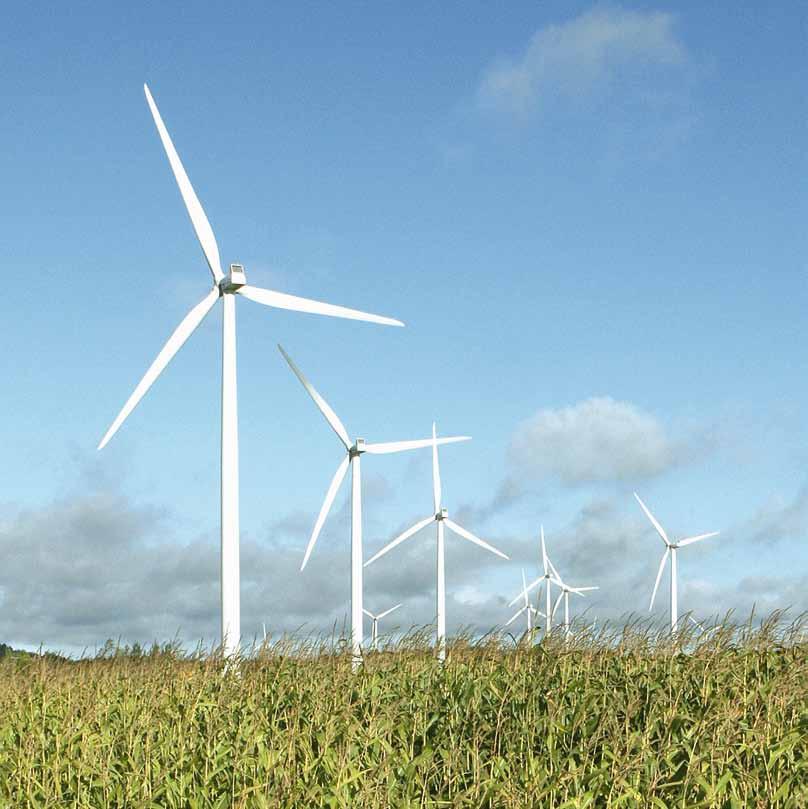 Bouwmanagement voor 36 MW windmolenpark Green Bear voor Vestas, Noord-Polen. Tebodin.