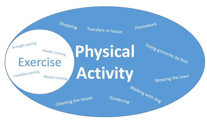 Fysieke activiteit 1.