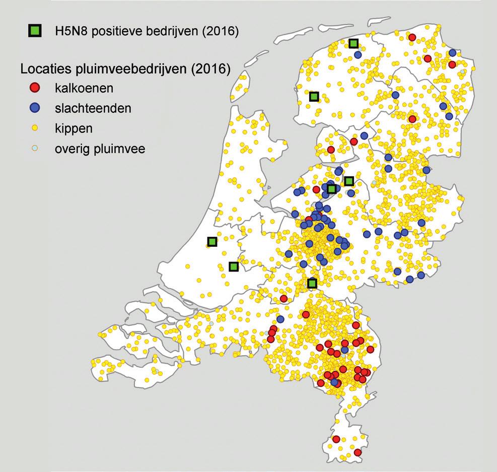 OVERZICHTSARTIKELEN 35 Nederland heeft goede monitoringsystemen voor aviaire influenza, ook als er geen klinische verschijnselen zijn bij de besmette vogels.