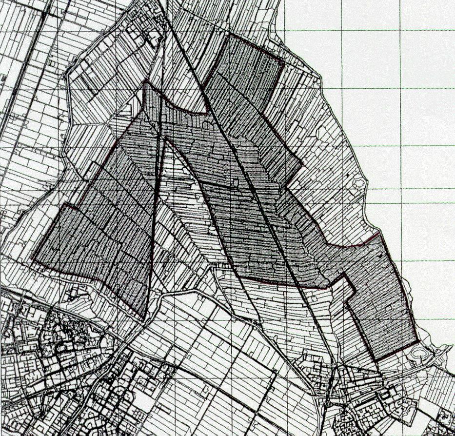 SOVON-informatierapport 2005/11