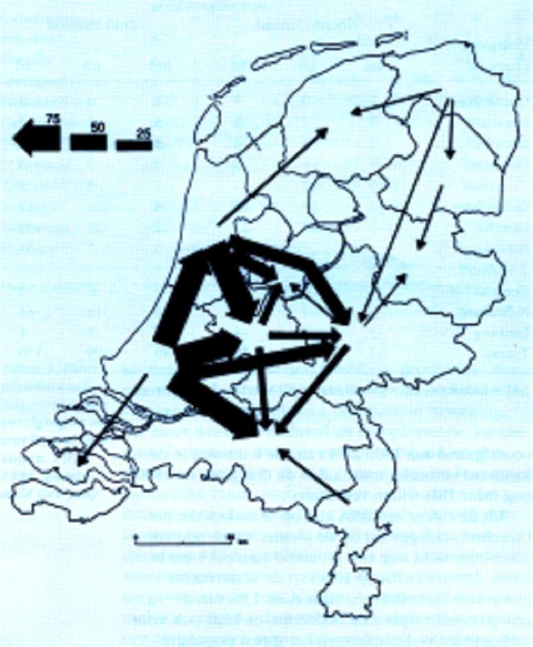 Bedrijfmigratie Nederland 1995 sector aantal migratiefactor industrie 3950 7.4 bouw 4250 7.7 groothandel 9800 10.