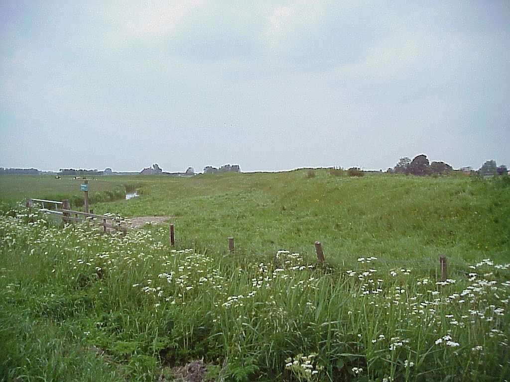 De Wouddijk, de zuidelijke dijk van het Dokkumer Grootdiep Verschillende kloosters die zich vanaf 1100 in het gebied vestigden, hebben een rol gespeeld bij de bedijkingen en landaanwinning in