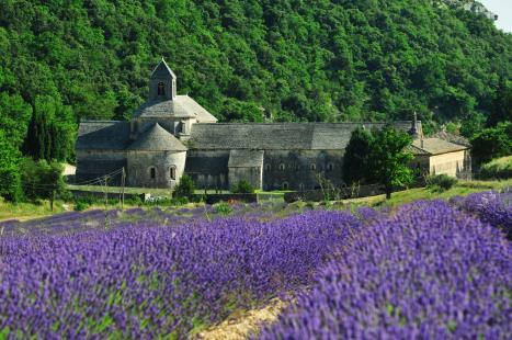 De Provence, gelegen in de zonovergoten zuidoosthoek van Frankrijk, is met zijn uitermate zinnelijke aantrekkingskracht, niet voor niets een van de meest populaire vakantiebestemmingen van Europa.