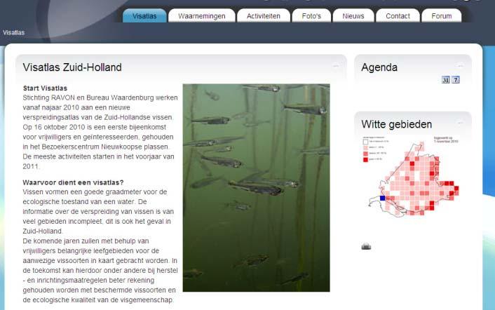 4.6.3 Vissenatlas Zuid-Holland - door Karin Didderen Vanaf het najaar van 2010 werkt Stichting RAVON in samenwerking met Bureau Waardenburg aan een nieuwe verspreidingsatlas van de Zuid-Hollandse
