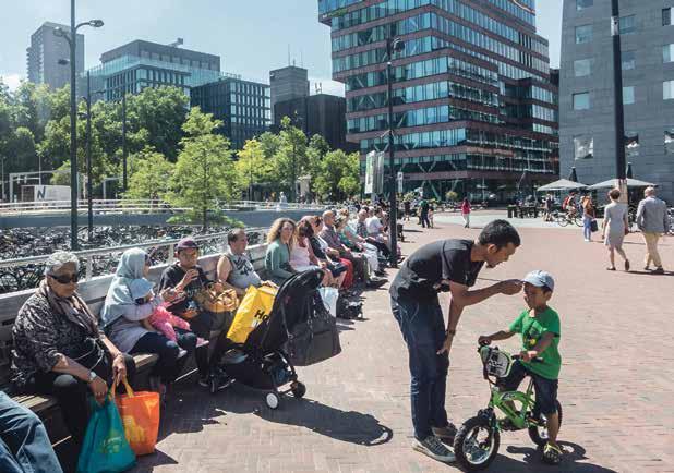 Dat beeld van Rotterdam rijst op uit de Omnibusenquête, die de gemeente elk jaar uitzet onder zo n 3.600 inwoners.