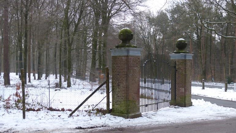Op dinsdag 3 oktober a.s. gaat de Veldstudiegroep van KNNV Arnhem paddenstoelen zoeken in het Rozendaalse Bos o.l.v. Marijke Kaaijk.
