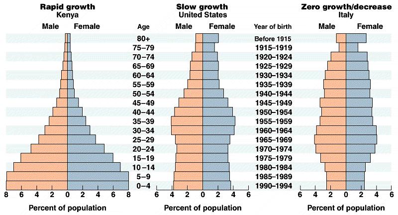 Demografie Mortaliteits- en overlevingsparameters worden weergegeven in zogenaamde levens- of sterftetabellen (life tables).