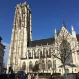 1. Metropolitaanse kerk Sint-Rombouts De Sint-Romboutskerk is een gotische kerk, die deel uitmaakt van het ensemble van de 8 historische kerken in de binnenstad van Mechelen (Torens aan de Dijle).