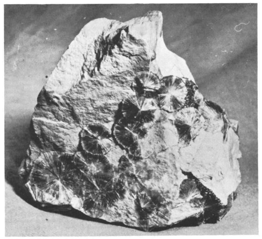 Het cadmium-sulfide greenockiet werd voor het eerst in kleine kristallen ontdekt bij het Schotse Greenock, en heeft hieraan zijn naam te danken. Thans wordt in dit.