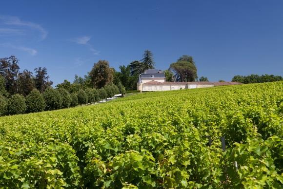 Château Le Nuda Médoc AOC Topwijn uit het alom geroemde Médoc Château Le Nuda, een geweldige wijn uit het meest invloedrijke gebied van Bordeaux.