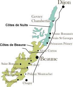 Wijnmaken is in de Bourgogne het tot uitdrukking brengen van subtiele variaties op een vast thema: terroir. Voor rood gebeurt dat met de pinot noir, voor wit met de chardonnay.
