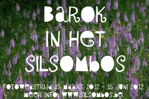 Barok in het Silsombos Barok in het Silsombos is een digitale fotowedstrijd georganiseerd door Natuurpunt Kortenberg. Deelname aan deze wedstrijd is gratis en u kunt er prachtige prijzen mee winnen!