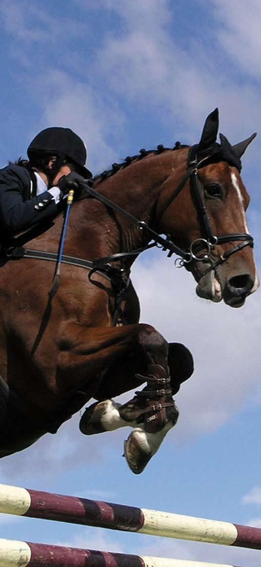 LICHTNETAPPARATEN. CSIKOS Lichtnetapparaat welke speciaal ontwikkeld is voor de kleine tot middelgrote paardenwei en/of paddock.