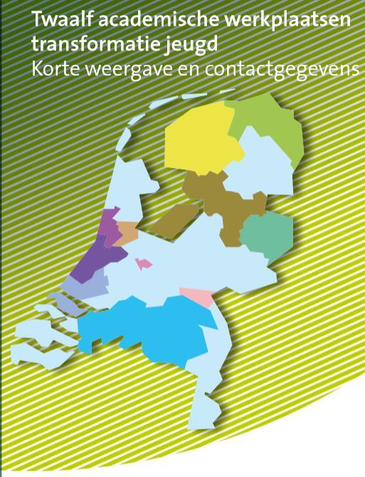 12 AWTJ s Wat? Kennisinfrastructuur waarin praktijk, beleid, onderzoek en onderwijs regionaal en langdurig samenwerken Met structurele inbreng van jeugdigen en ouders Waarom?