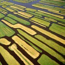 5.3 Randvoorwaarden (Cross Compliance) Als u vanaf 1 januari 2010 subsidie voor agrarisch natuurbeheer of landschapsbeheer wilt ontvangen, dan moet u aan een aantal voorwaarden voldoen.