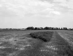 SNL (Subsidieregeling Natuur en Landschap) Weidevogelbeheer Collectief weidevogelbeheerplan In februari hebben we ons collectief weidevogelbeheerplan