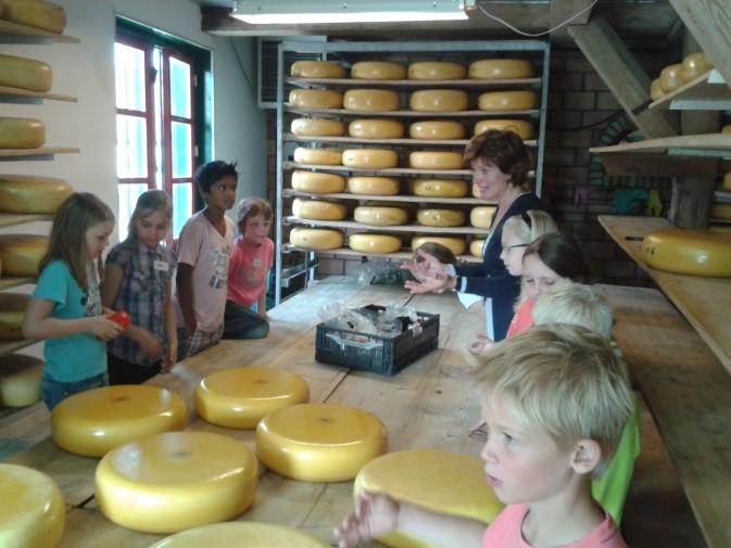 De boerderij van Sjaak en Karin Verdeeld over een periode van twee maanden zijn we met groep 5 vijf keer te gast geweest bij de boerderij van Sjaak en Karin van Veen in de Weipoort.