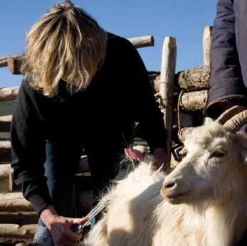 Respect voor mens en dier Wij behandelen mensen en dieren met het grootste respect; onze belangrijkste grondstoffenleveranciers zijn geiten en schapen. Dit zijn onze helden.