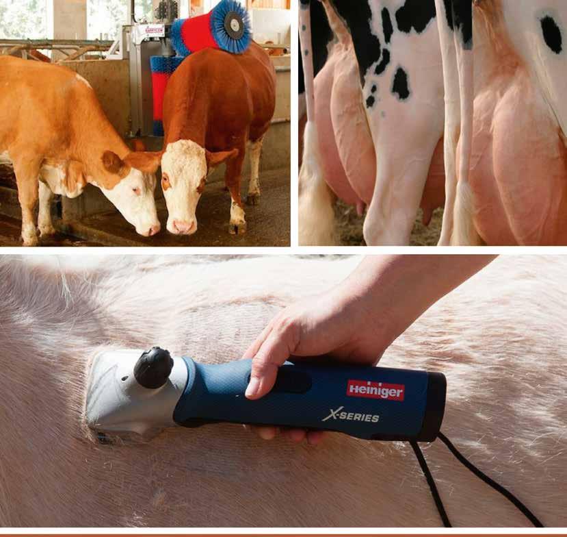Dierverzorging Haal het maximum uit uw vee. Verzorg het goed. De productiviteit van rundvee wordt afgemeten aan een gezonde gewichtstoename of een hoge melkproductie.