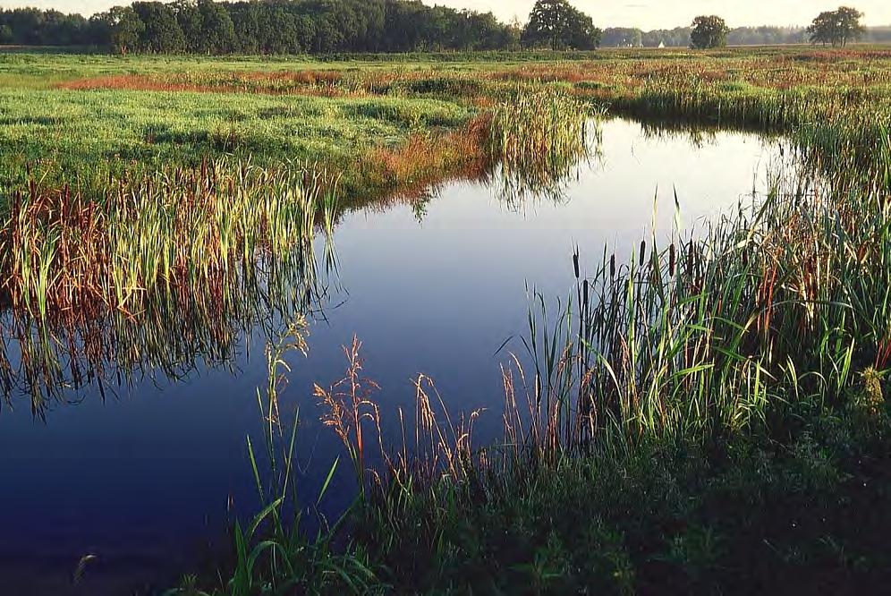 1 Nieuwe meanders Links van de kade ligt het in de jaren zestig genormaliseerde Oude Diep, rechts de meanders van het nieuwe Oude Diep.