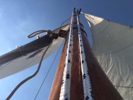 Aangezien er ook oud-leden tijdens dit kamp mee waren hadden we een grote groep. Wesley kon in verband met zijn werk helaas niet mee op kamp.