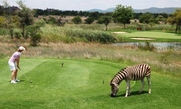 Onderweg kunt u spelen op 6 fantastische golfbanen. Het reisschema bevat een programma voor golfers en niet-golfers. De treinreis begint op het eigen station van Rovos Rail in Pretoria.
