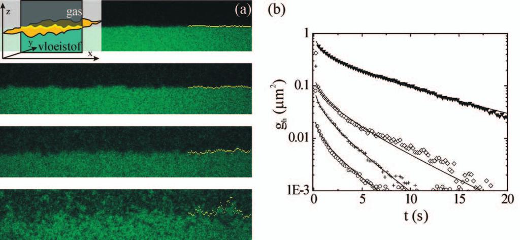 Hier is gemeten aan een systeem zoals beschreven in figuur 1, maar met grotere colloïden (d = 142 nm) en polymeren.