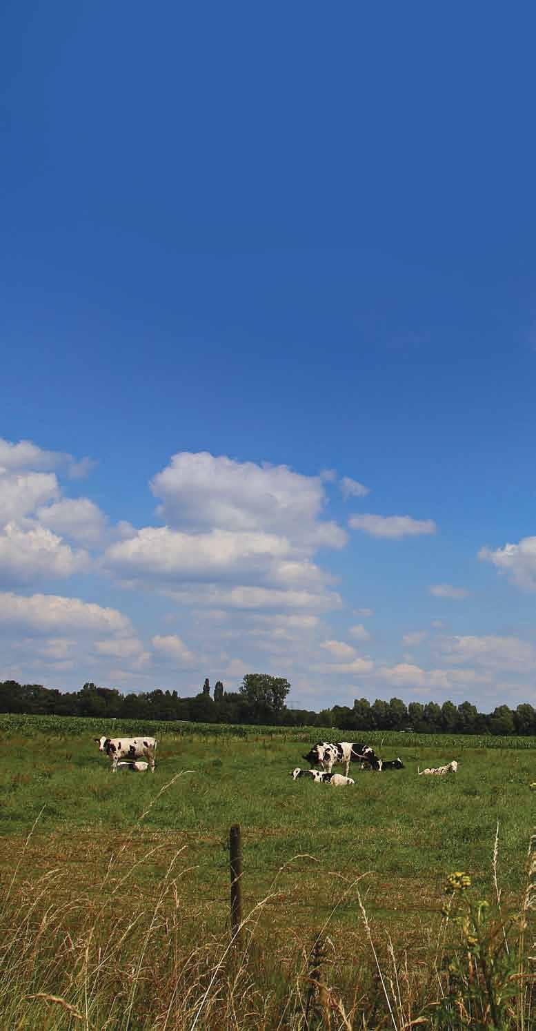 Breed genoeg om volop te genieten Een stukje Nederland met prachtige natuurgebieden en dat op een breedte van slechts 4,8 kilometer!