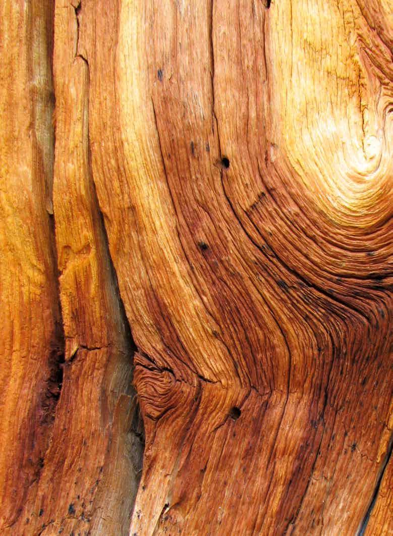 ROCKPANEL Woods Voorzie de gevel van een natuurlijke signatuur met ROCKPANEL Woods. De panelen zijn nauwelijks van echt hout te onderscheiden.