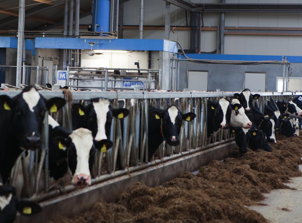 KOECOMFORT Een tevreden koe is een productieve koe D e robot-arm van de Fullwood M2 wordt helemaal elektrisch in plaats van met lucht aangestuurd. Dit resulteert in een fluisterstille machine.