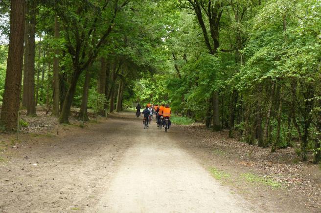 Werkgroep Wandelingen 854,00 682,79-171,21 506 Werkgroep Educatie (cursussen + lezingen) 2.865,00 1.697,57-1.167,43 507 Werkgroep Planten 181,00 128,58-52,42 508 Werkgroep PR & Communicatie 1.