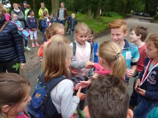 Onze Kleine Wildernis voor Scharrelkids Avonturen langs het Smokkelpad voor kinderen om de natuur te ontdekken en erin te spelen met natuurlijke materialen.