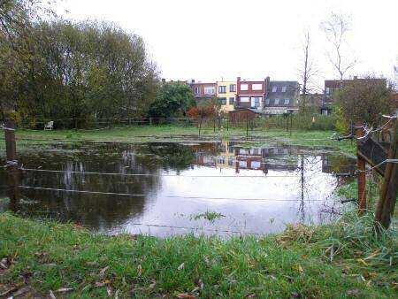 4 Toetsing aan het watersysteem 4.1 Overstromingsproblematiek NOG: Het aandachtsgebied is gelegen in een van nature overstroombaar gebied (NOG).