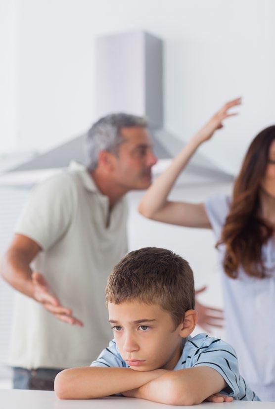 Verslaving in het Gezin 299 Tijdens deze trainingsdag leer je op systemische en oplossingsgerichte manier te kijken naar gezinsproblematiek en jouw rol als onderwijsprofessional.