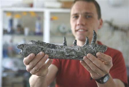 Gelezen in de kranten Nieuwe dinosaurus ontdekt in Polen In het Zuid-Poolse Lisowice zijn de overblijfselen