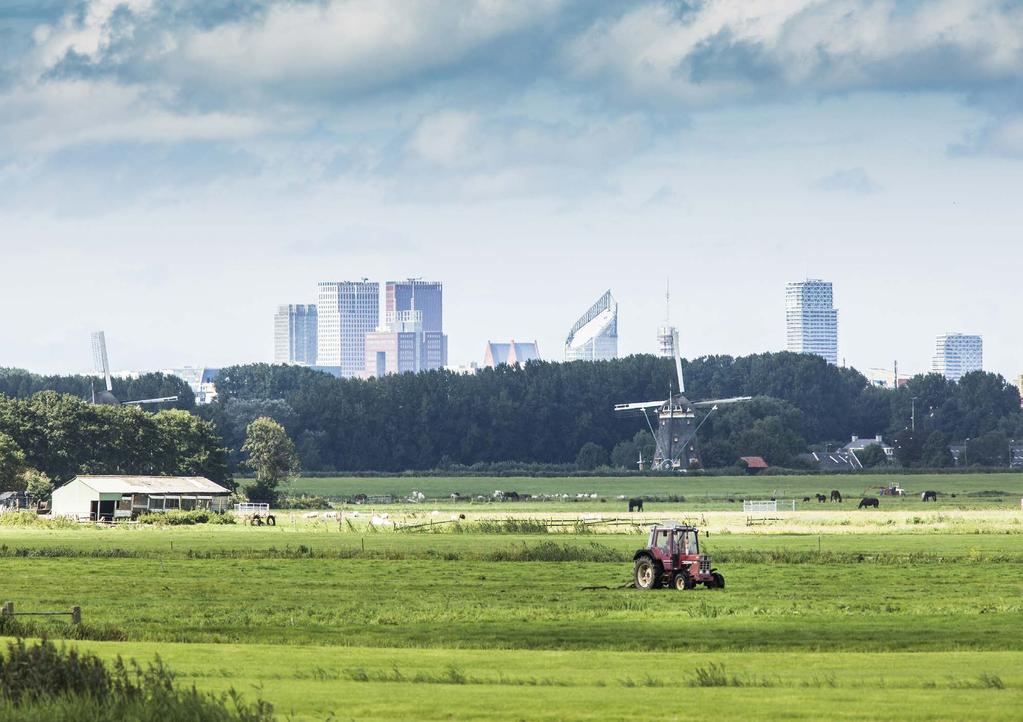 26 CONCEPT NOTA HAAGSE HOOGBOUW: EYELINE EN SKYLINE