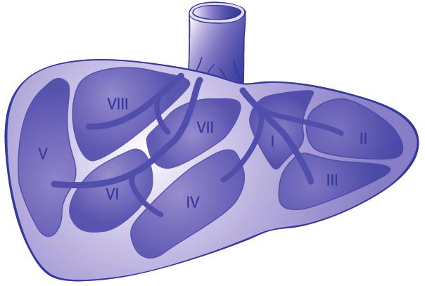 Leverdonatie door een levende donor hersendode donor te ontvangen. Pas als bij u de operatie daadwerkelijk start, wordt het kind van de wachtlijst afgehaald.