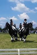 *OEFENPARCOURS Zondag 16 december is er een (kerst) oefenparcours *KÜR OP MUZIEK: Zaterdag 5 januari 2013 zal er bij voldoende belangstelling een kür op muziek en een carrousel voor de manegepony s