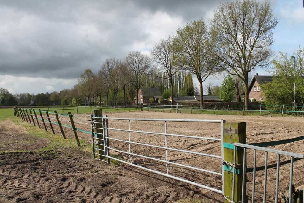 De tuin is voorzien van meerjarige beplanting een gazon en een