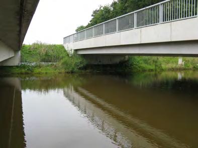 Verder van de brug af bestaat de oevervegetatie uit een rietkraag. Aan de noordzijde van de passage ligt een forse poel, omgeven door een vochtig terrein met seizoensbegrazing.